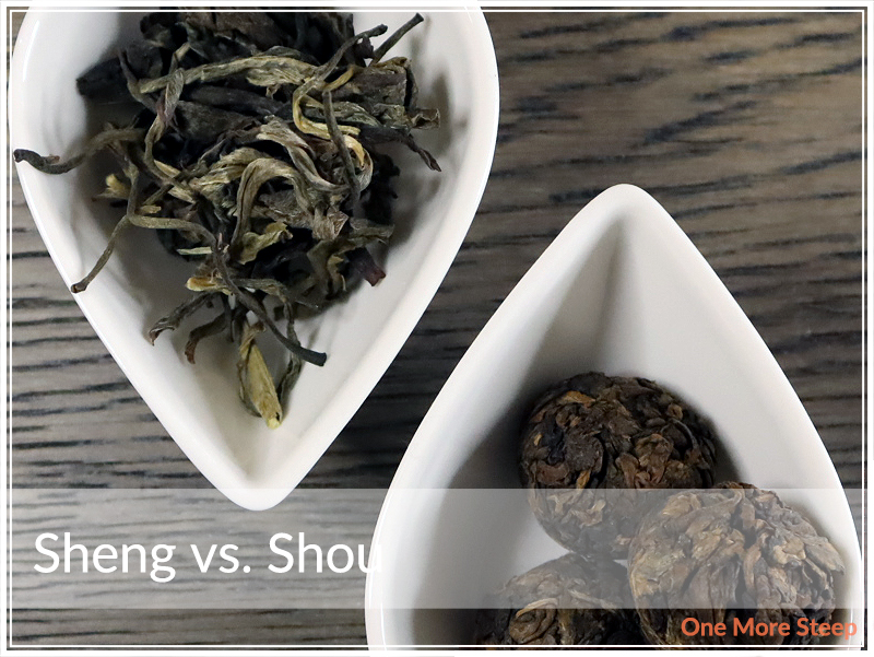 Sheng vs. Shou Pu erh One More Steep